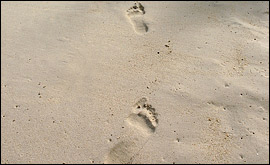 Footprints in the sand