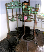 Cheese-making at Smart's Farm in Churcham