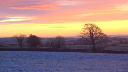Snow in Carmarthenshire by Brigid Rees