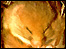 Dormouse