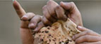 hands grabbing bread