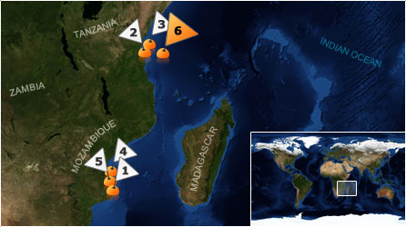 Dive map - Indian Ocean - Site 6