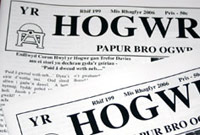 Yr Hogwr