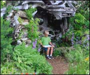 Driftwood garden