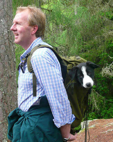 Collie pup Molly, in a rucksack (courtesy of Polly Pullar)