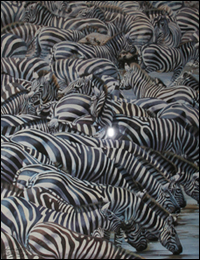 Confusion at the Edge