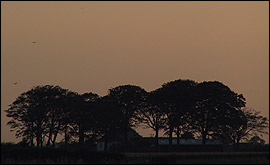 Sunset over the Eastern Marche