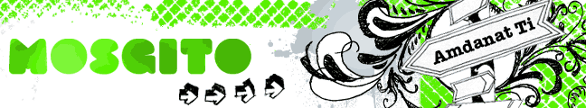 Mosgito, Delwedd