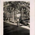 Camp under the palms Delta Area on the road to El Marg