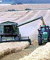 farmland