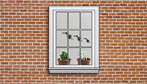 A view through a window where pots of basil are growing on the windowsill