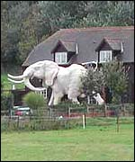 Mark Coreth - Jumbo Sculpture