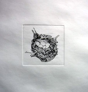 Artwork by Antonia Dewhurst