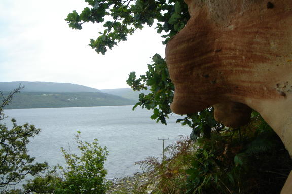 stMolios