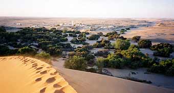 The Namib Desert Research Station at Gobabeb, 'The Place of the Fig Tree'.