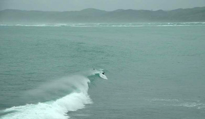 Raglan