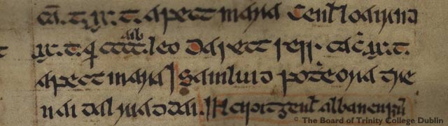 Extract of text from Senchus fer nAlban. Image courtesy of the Board of Trinity College, Dublin