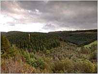 Dalby Forest