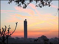 Peterson's Tower, Sway