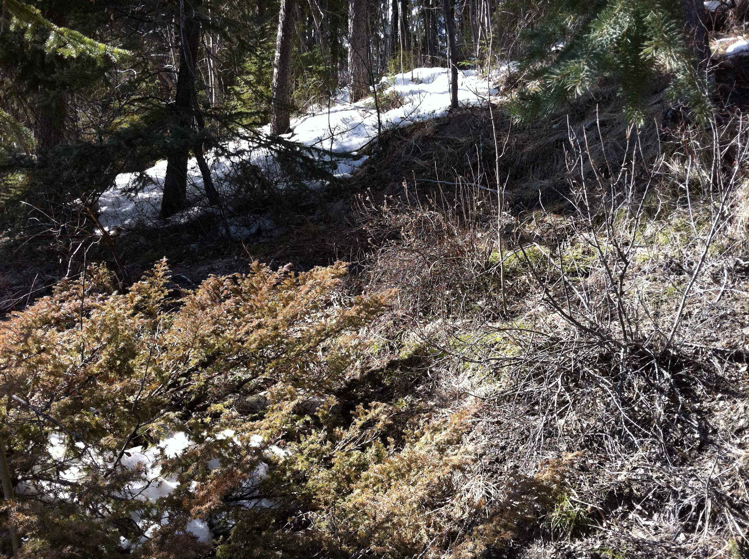 Frozen stream, northern territories