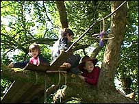 Pupils in tree