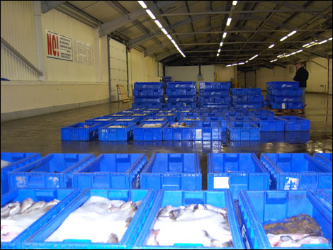 North Shields Fish Quay auction