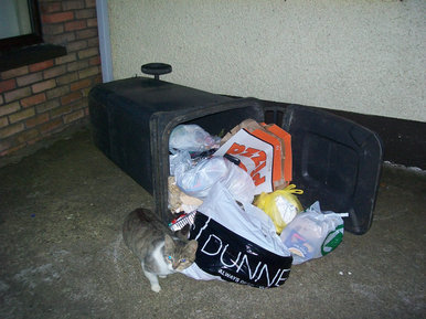 Rubbish society