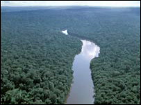 ایمیزن: زندگی اور موت کا اژدہا