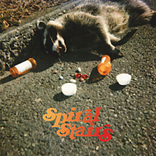 Review of The Real Feel Review of The Real Feel