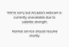 Arcadia Webcam