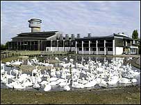 Slimbridge c/o Richard Taylor-Jones