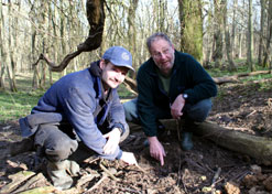 Long-tailed tit nest