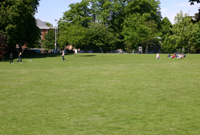 Parc Llwyn Isaf