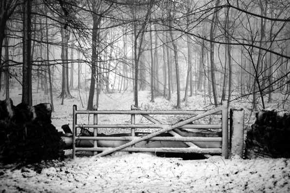 Andrew Lockie captured this evocative image of snowfall in upland Gloucestershire