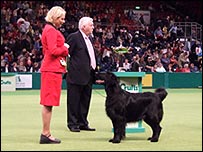 Almanza Far and Flyg, with owner, at Crufts 2007