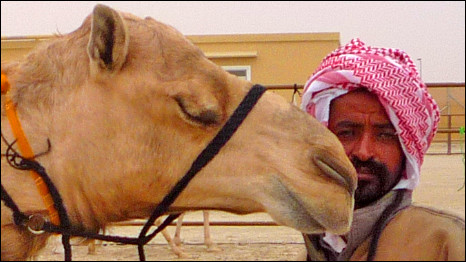 camel and owner