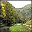 Dovedale (image: valley)