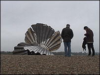 Scallop