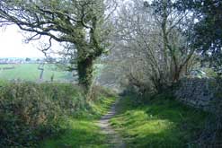 Path between Treesmill and Par Beach