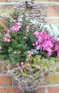 A wall-mounted basket with autumn plants