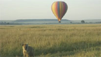 Hot air balloon over grassland