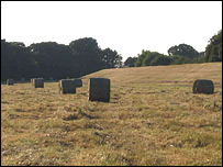 hay bales