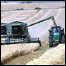 agricultura