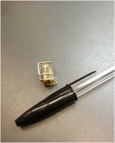 Tracker device for sooty tern. It is the size of a sugar lump