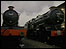 Steam trains