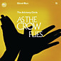 Review of As the Crow Flies Review of As the Crow Flies