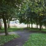 Looking towards the site of the former Stainton Camp from The Avenue.