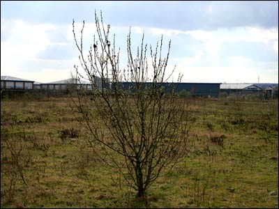 Brownfield by Jim Brogden