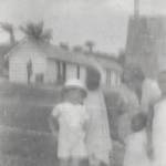 Africa.Copyright.Sheila.Dawn.2005