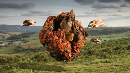 Still taken from Sean Vicary's Lament. Image courtesy of the artist